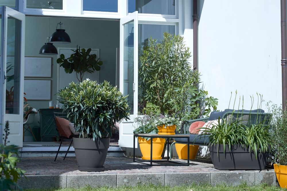 Vibia Campana Schale 34