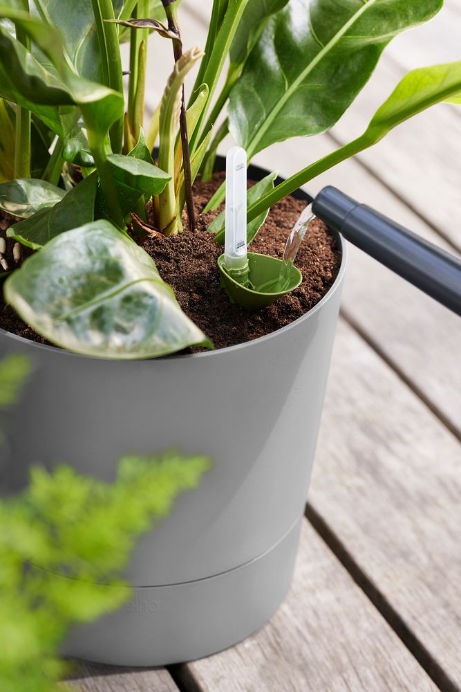 Greensense Aqua Care Rund 43