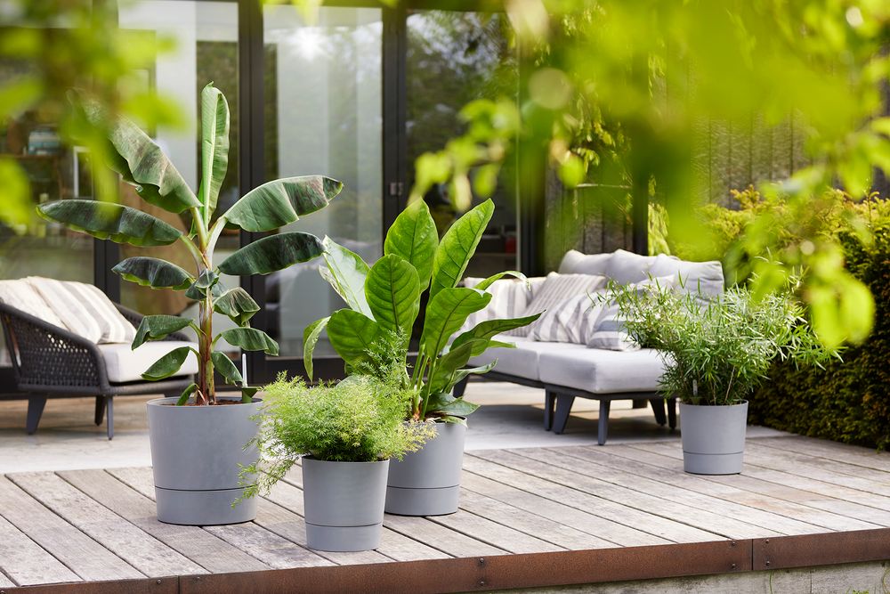 Greensense Aqua Care Rund 43