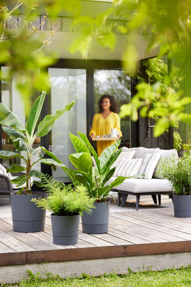 Greensense Aqua Care Rund 35