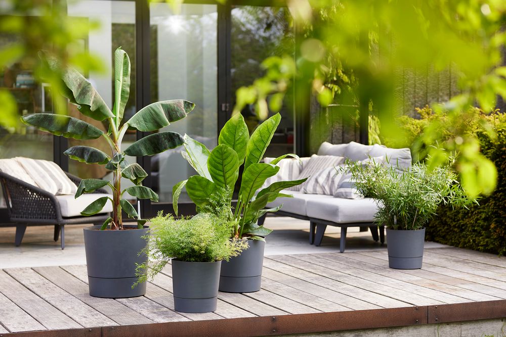 Greensense Aqua Care Rund 43