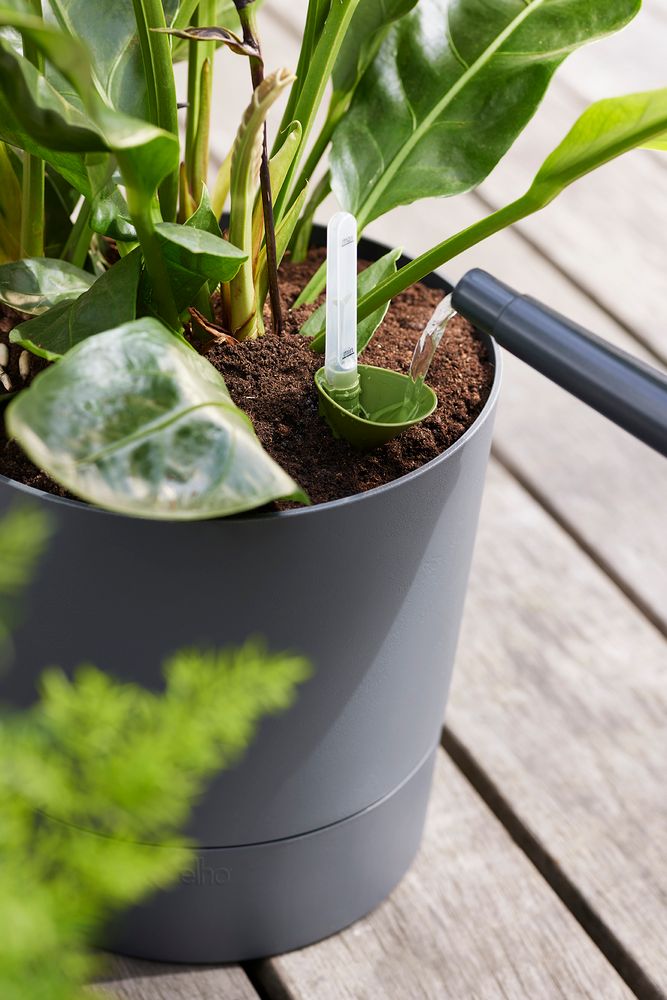 Greensense Aqua Care Rund 43