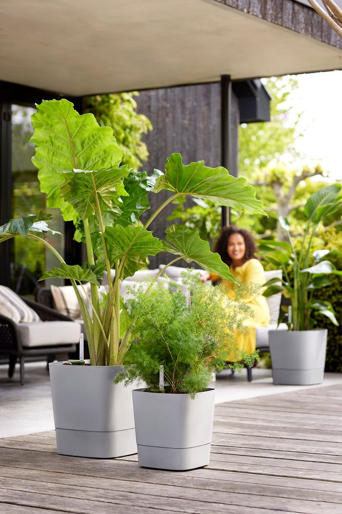 Greensense Aqua Care Quadrat 30