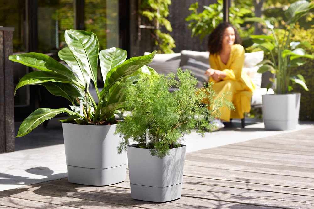 Greensense Aqua Care Quadrat 30