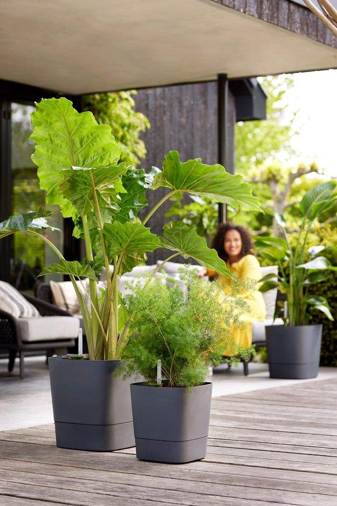Greensense Aqua Care Quadrat 30