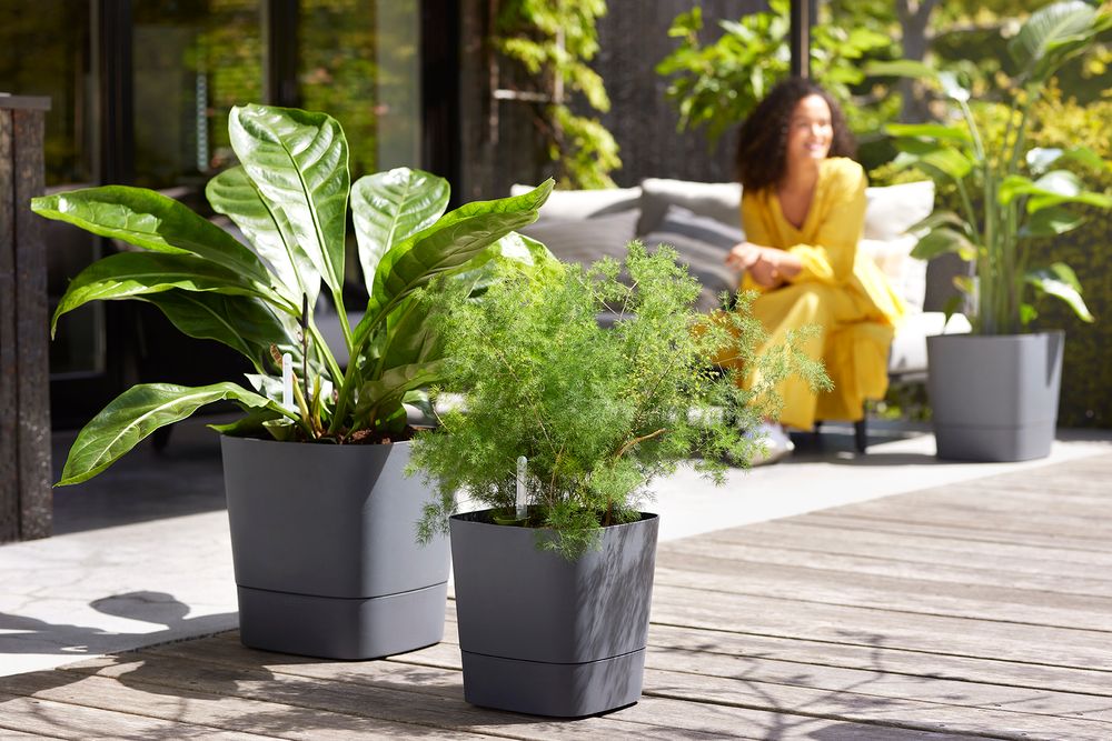 Greensense Aqua Care Quadrat 30