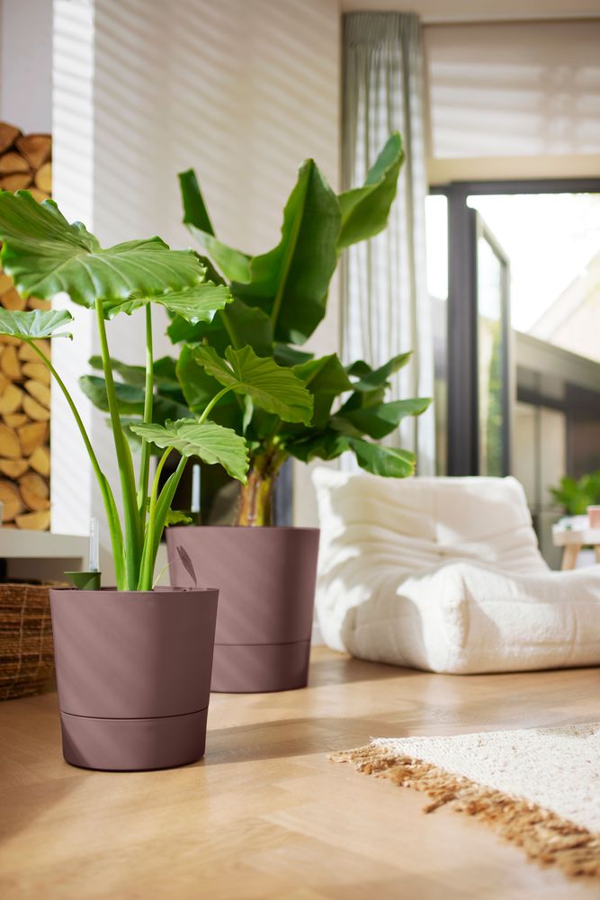 Greensense Aqua Care Rund 43