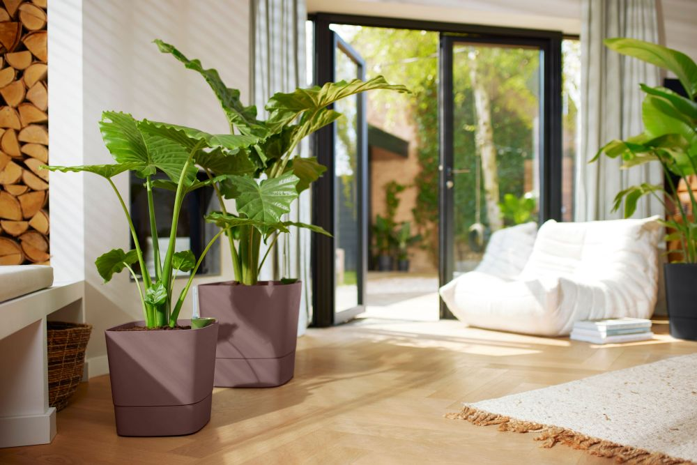 Greensense Aqua Care Quadrat 38