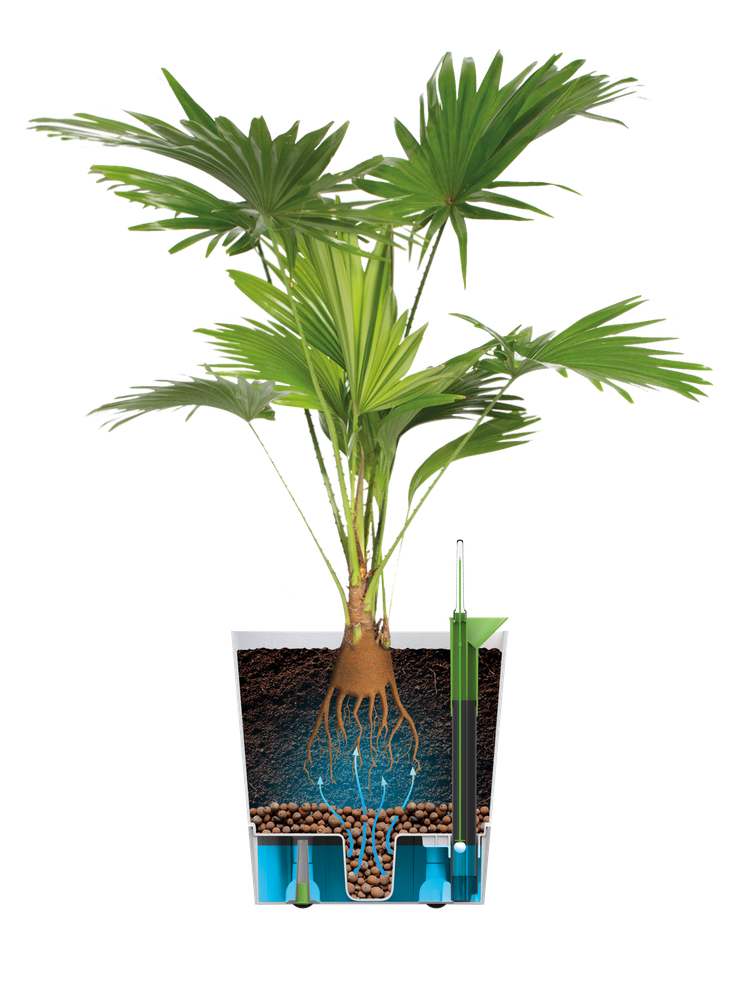 Greensense Aqua Care Quadrat 30