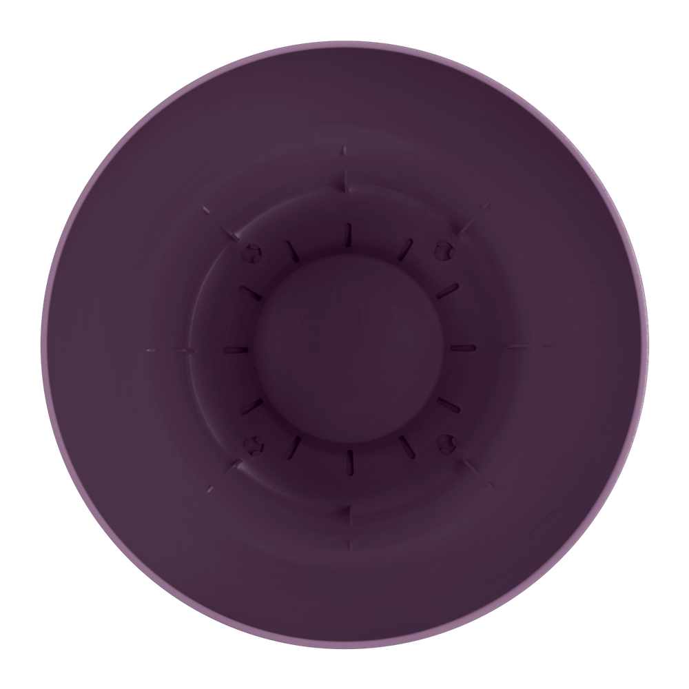 Greenville Rund 30