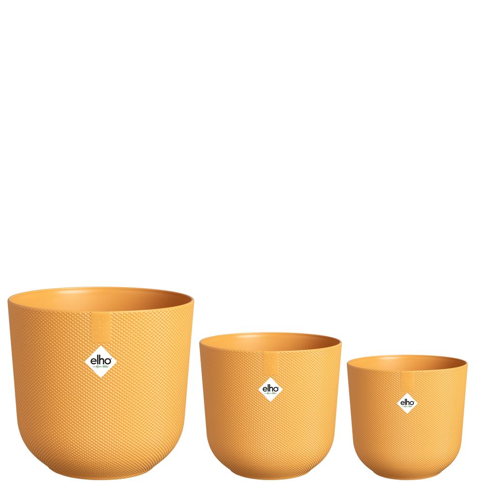 BNDL Jazz Rund 14,16,19