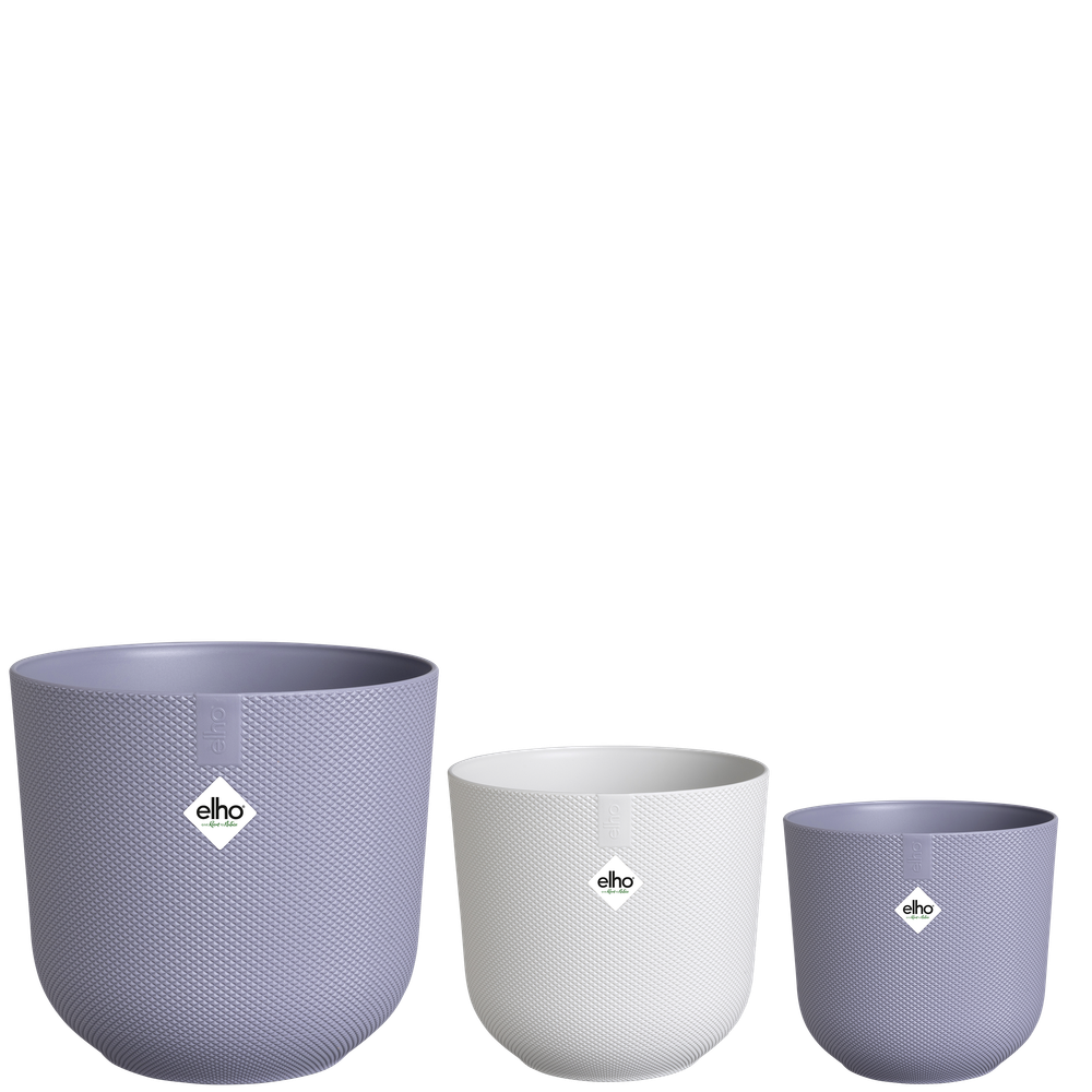 BNDL Jazz Rund 14,16,19
