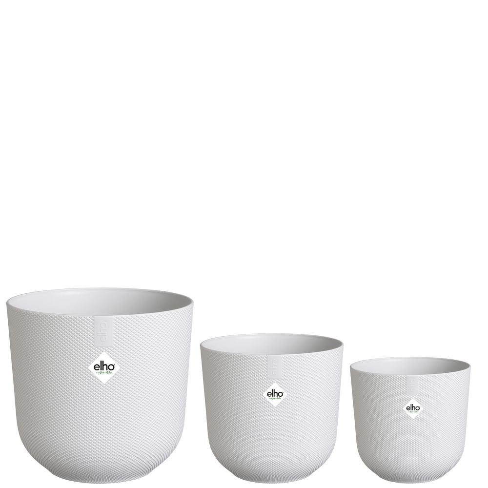 BNDL Jazz Rund 14,16,19