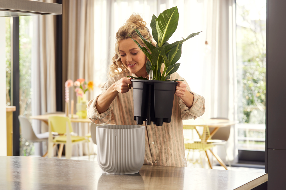 All-in-1 Vibes Rund 25 + Swi 24