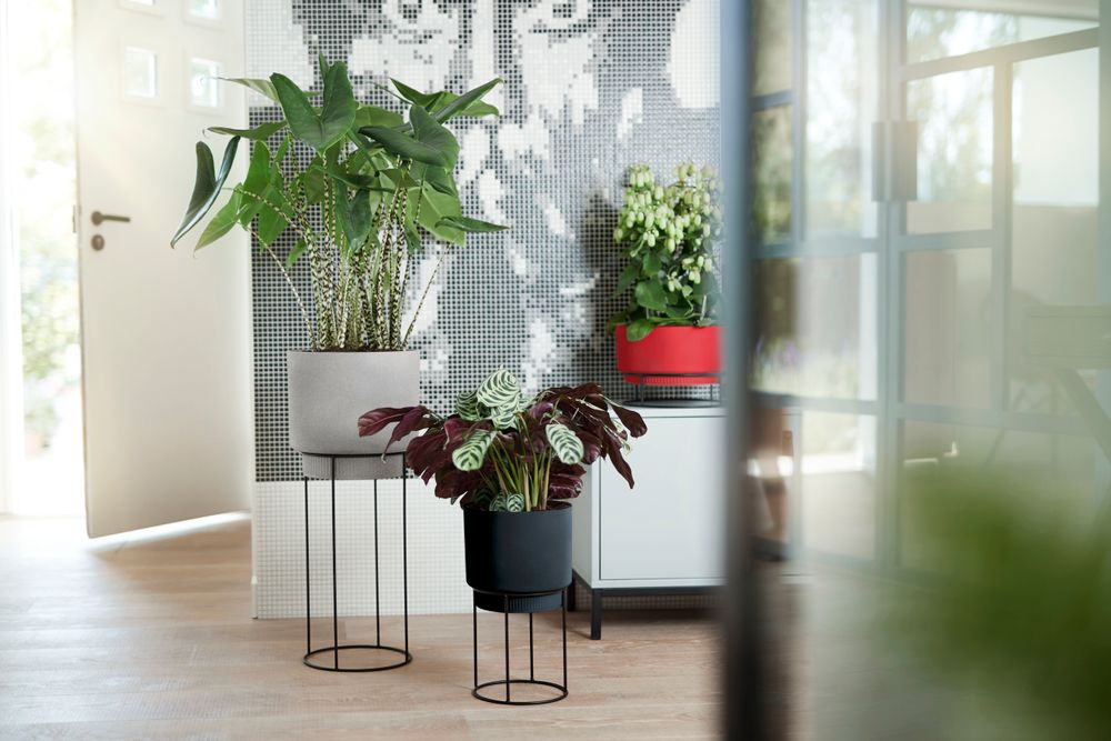 B.for Studio Rund 22