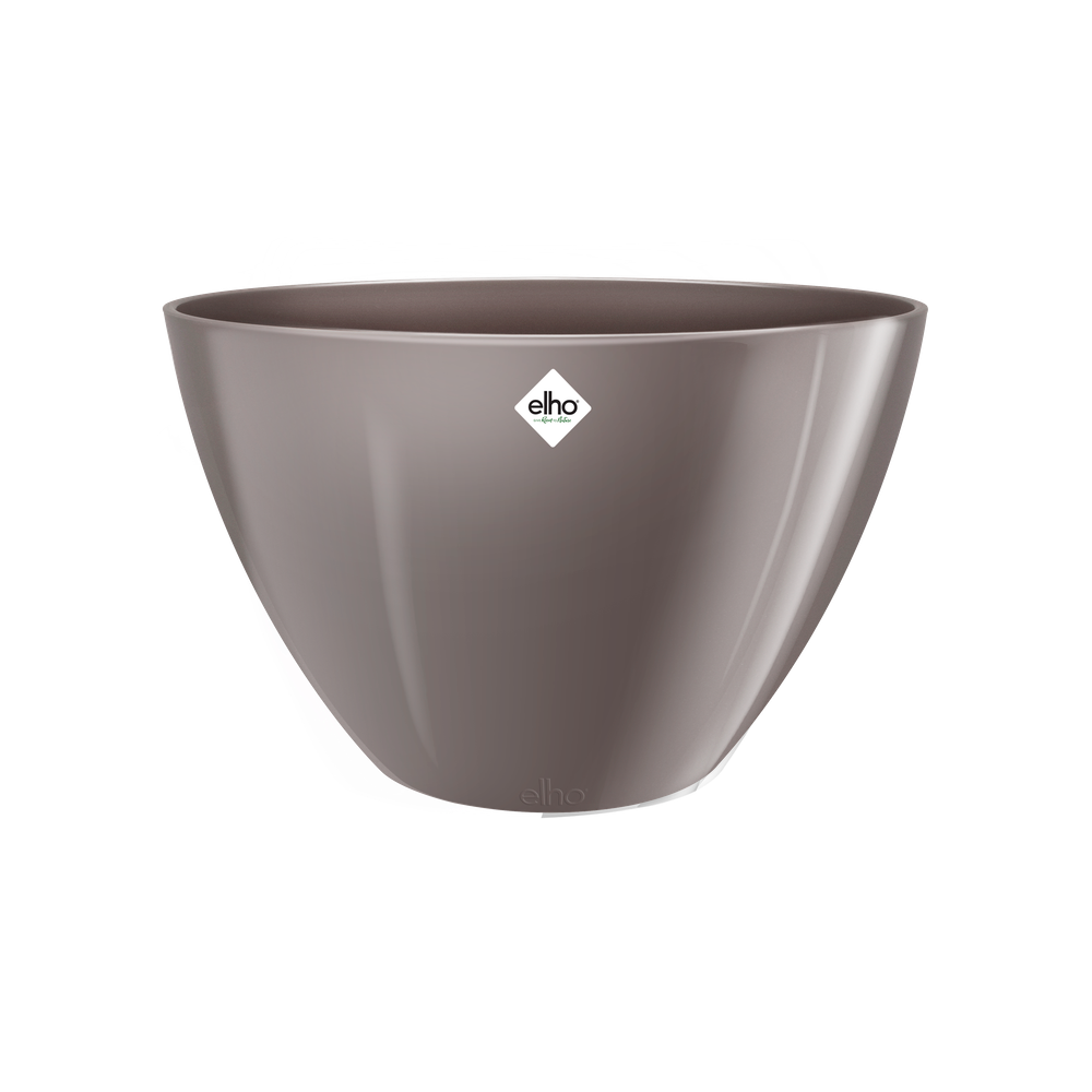 Brussels Diamond Oval Hoch 36