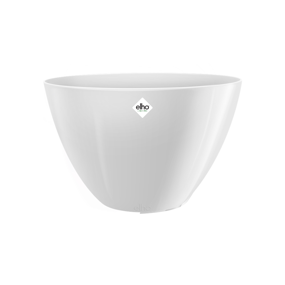 Brussels Diamond Oval Hoch 36