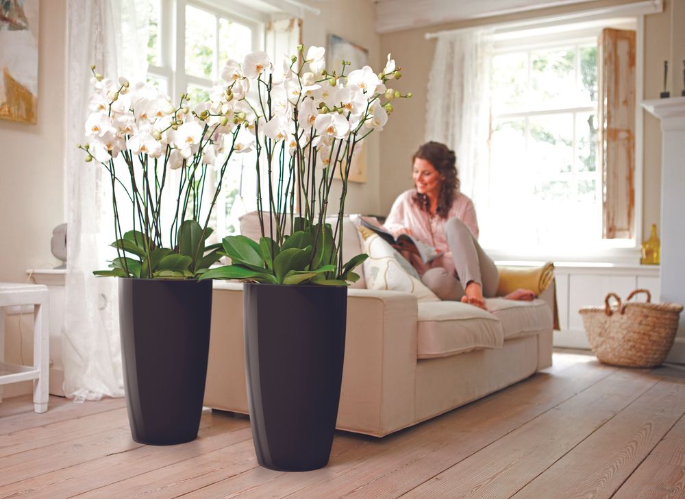 Brussels Diamond Rund Hoch 32