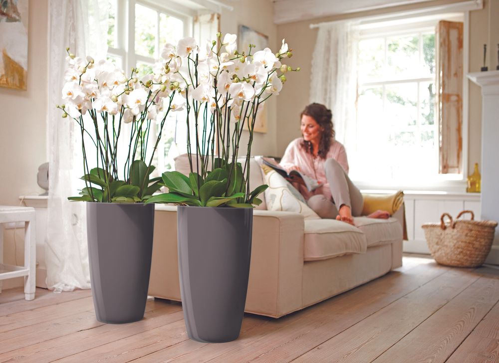 Brussels Diamond Rund Hoch 32