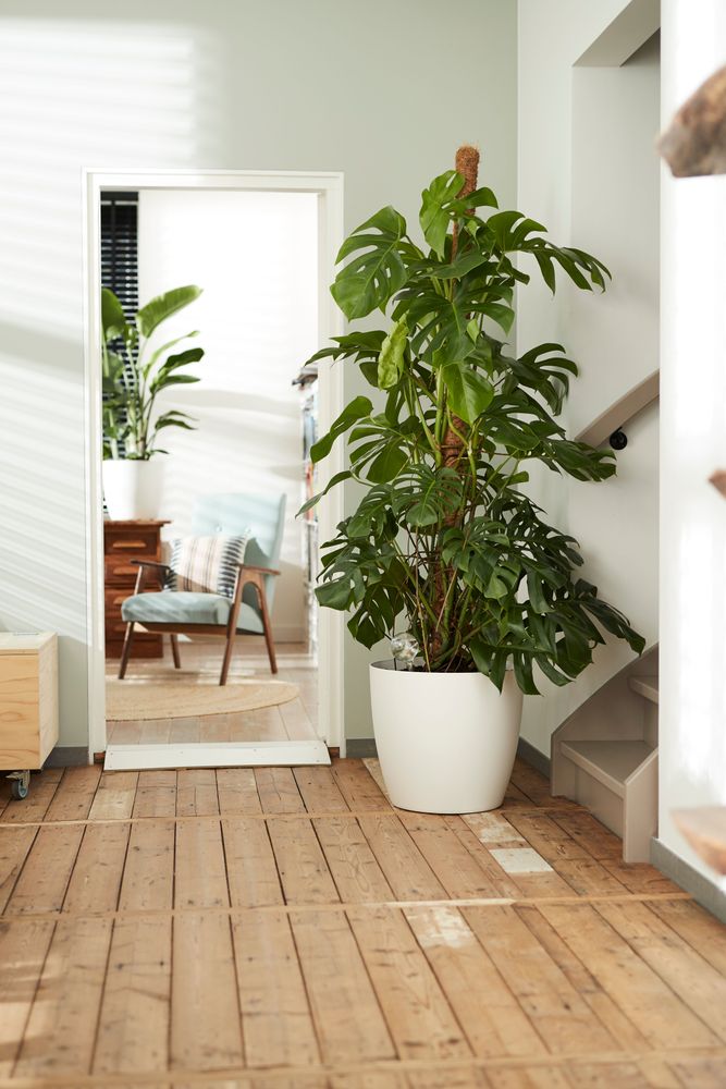 BNDL Brussels Rund Wielen 35, 40