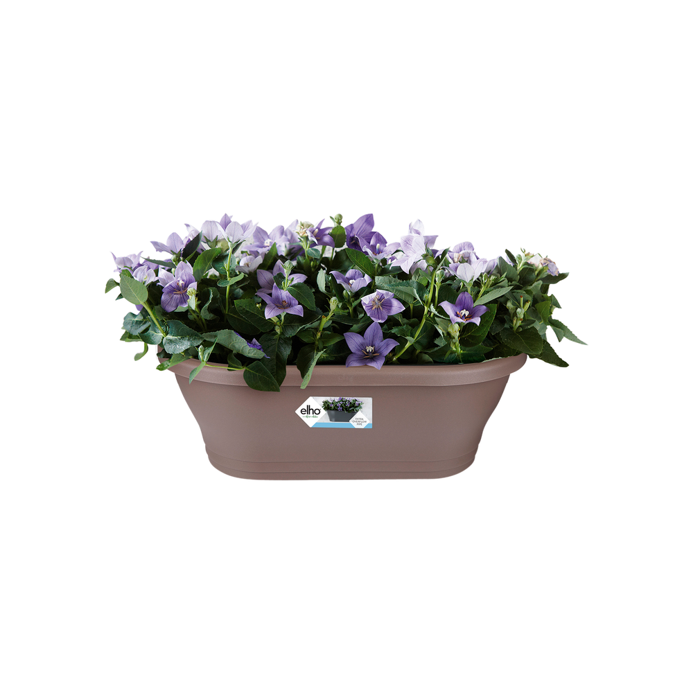 Corsica Wandampel 25