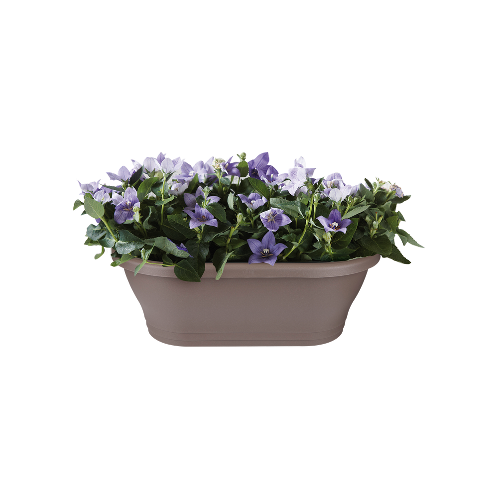 Corsica Wandampel 25