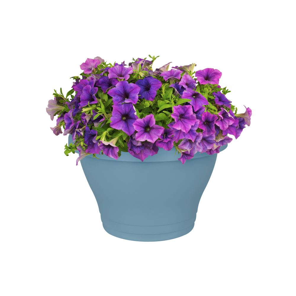 Corsica Wandampel 25
