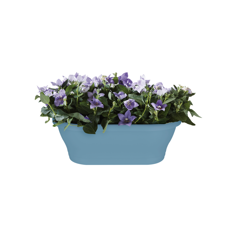 Corsica Wandampel 39