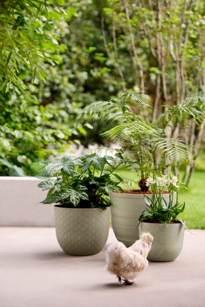 Fuente Lily Rund 30
