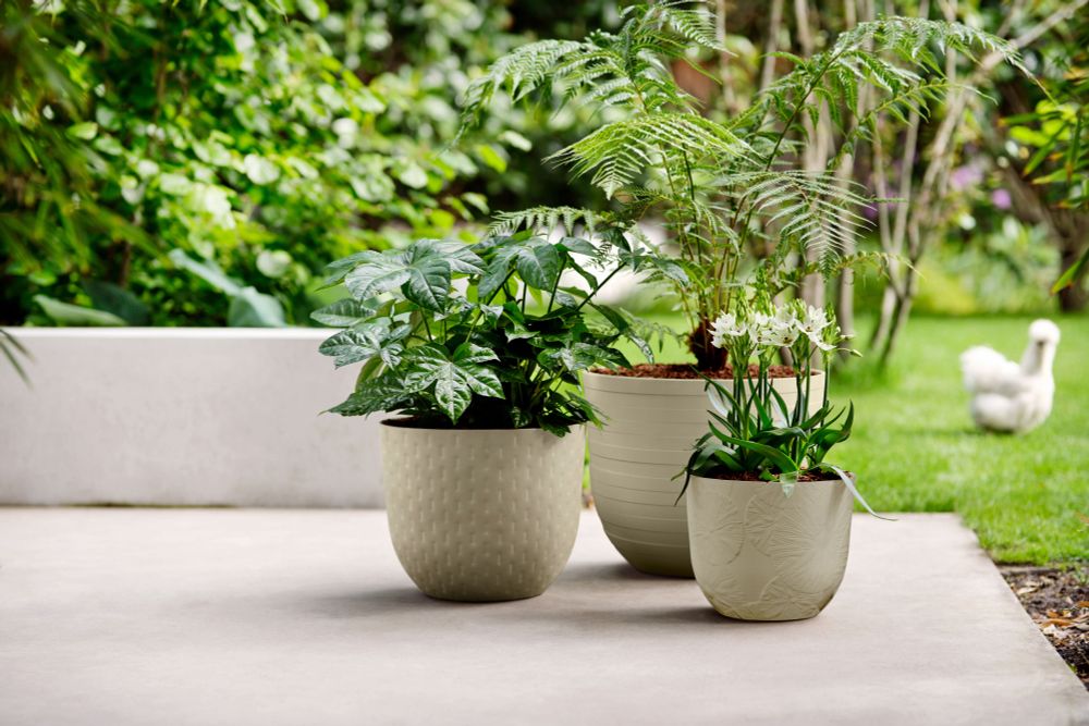 Fuente Lily Rund 30