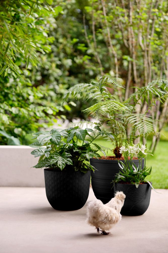 Fuente Lily Rund 30