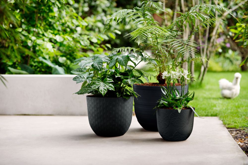 Fuente Lily Rund 30