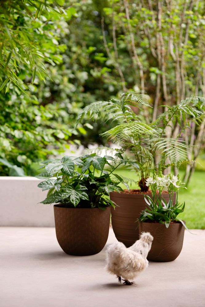 Fuente Lily Rund 30