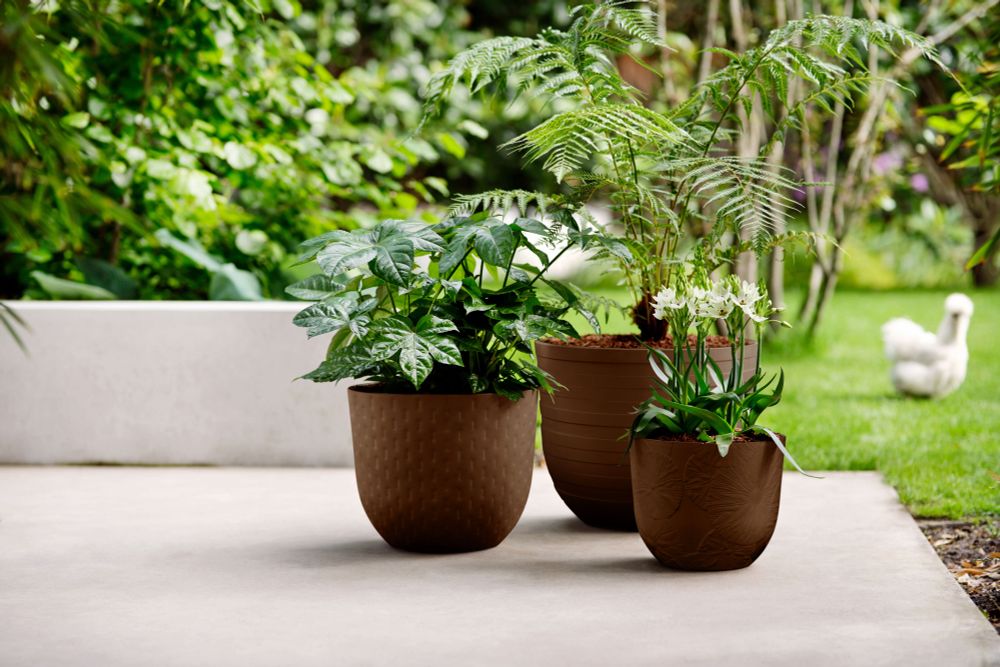 Fuente Lily Rund 30
