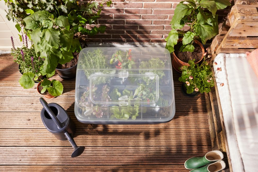 Green Basics Terrassen Gartenhaube L
