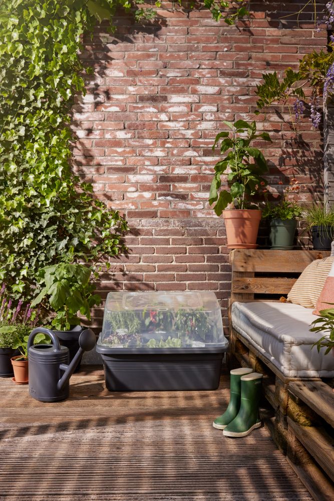 Green Basics Terrassen Gartenhaube L