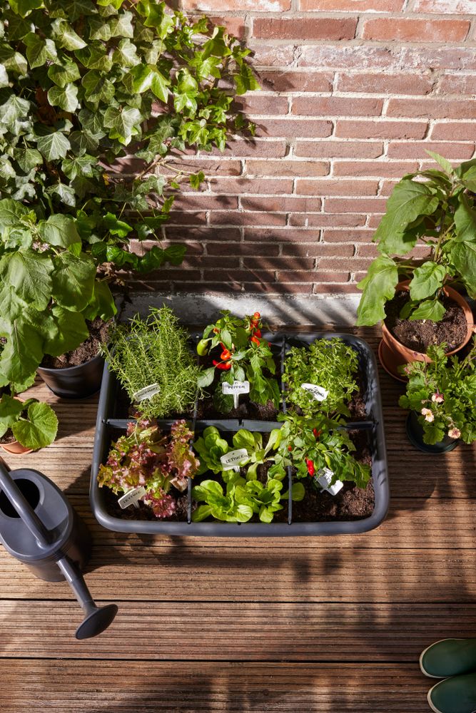 Green Basics Terrassen Garten L