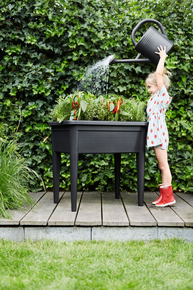 Green Basics Anzucht Tisch Super Xxl
