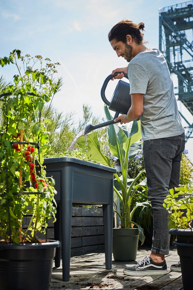 Green Basics Anzucht Tisch Super Xxl