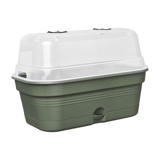 Green Basics Anzucht Schale Allin1 M