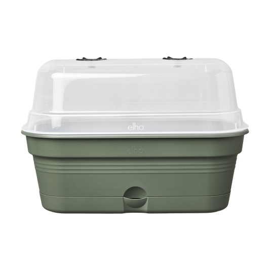 Green Basics Anzucht Schale Allin1 L