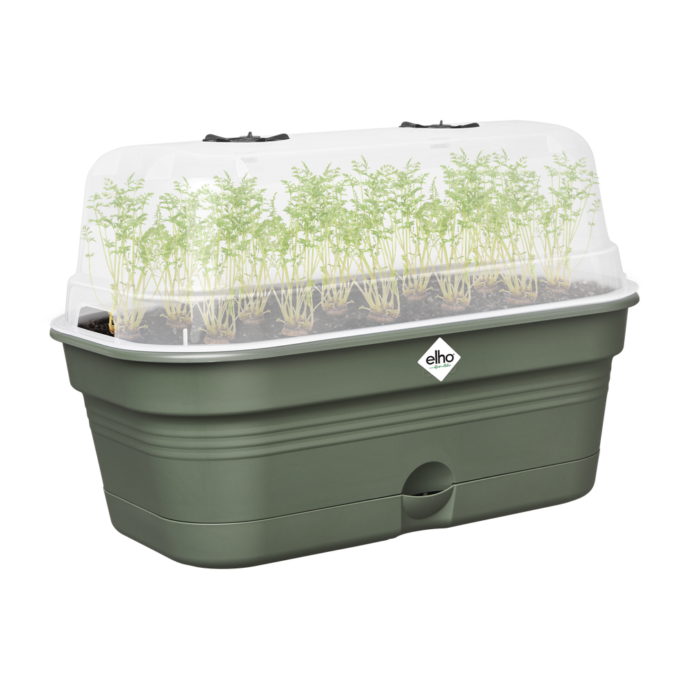 Green Basics Anzucht Schale Allin1 L
