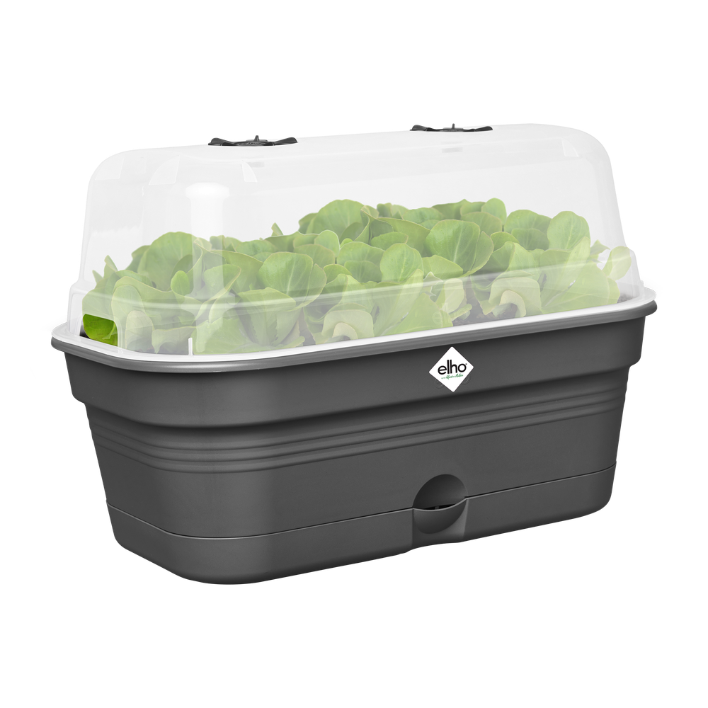 Green Basics Anzucht Schale Allin1 M