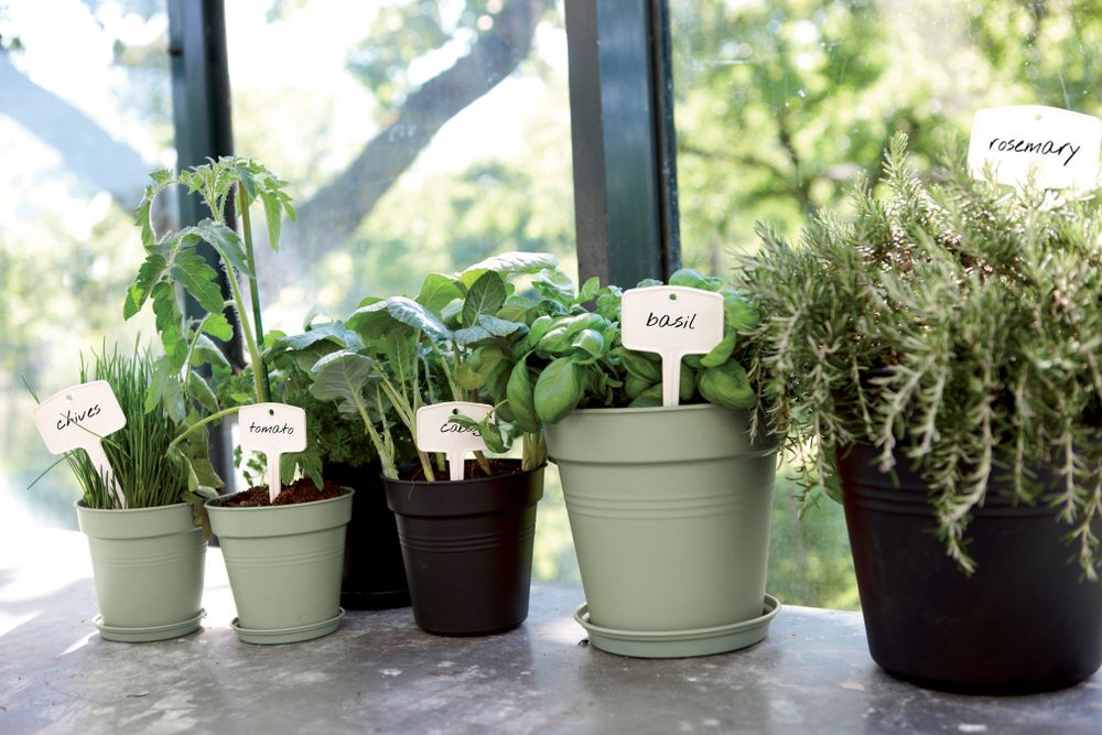 Green Basics Untersetzer 25