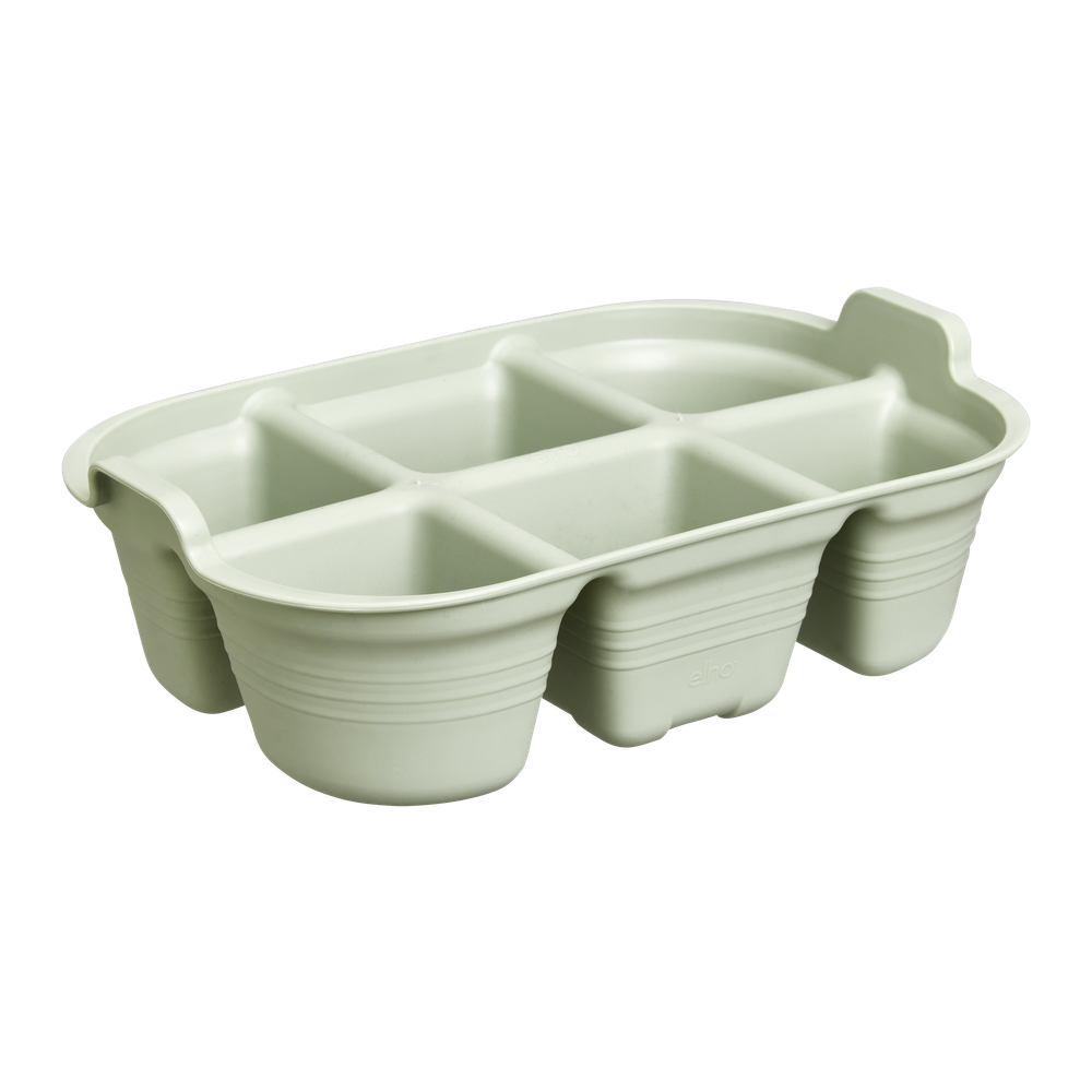Green Basics Saatschale 22