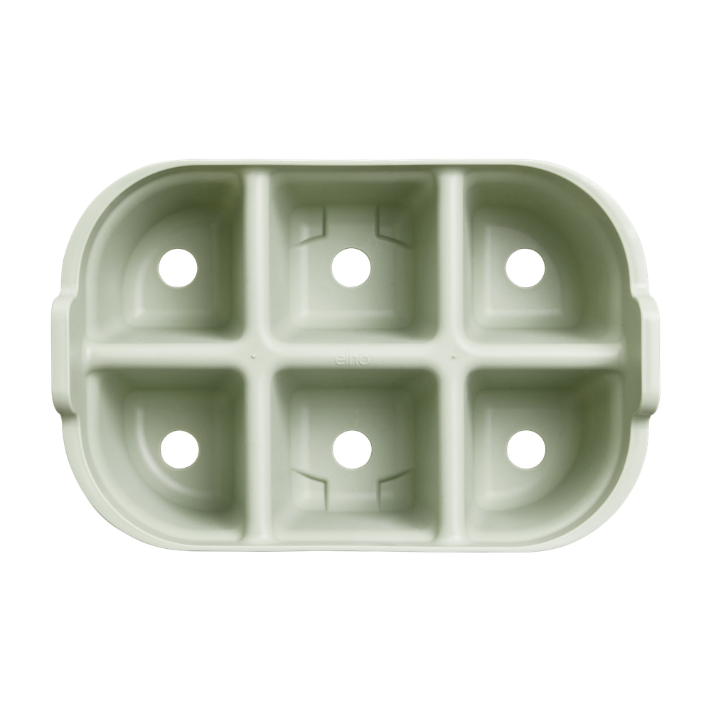 Green Basics Saatschale 22