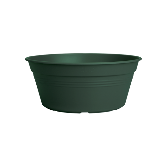 Green Basics Schale 33