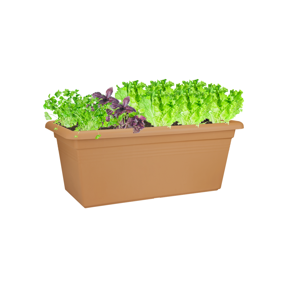 Green Basics Garten Xxl 100