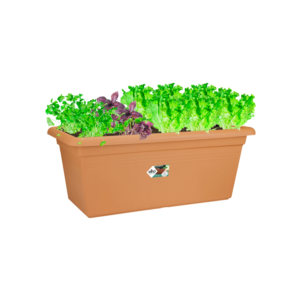 Green Basics Garten Xxl 100