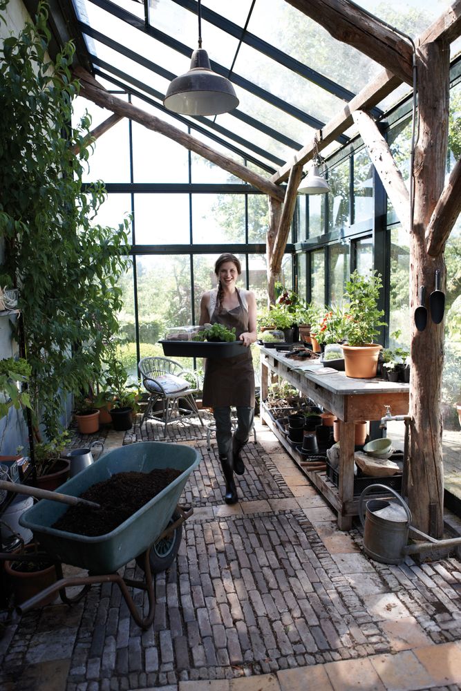 Green Basics Anzucht Unterlage 59